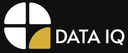 Data IQ
